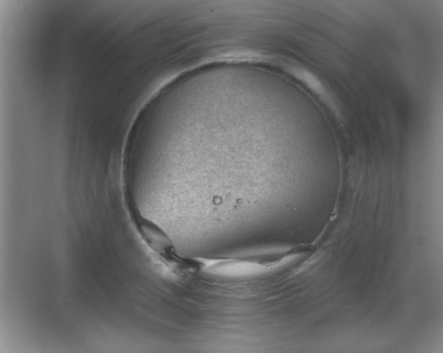 X0000068831229200605081205