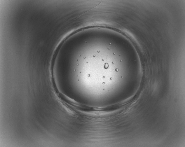 X0000068831230200605081205