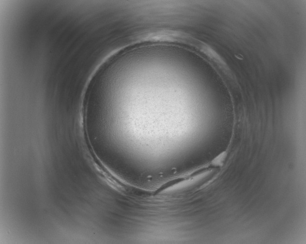 X0000068831232200605081205