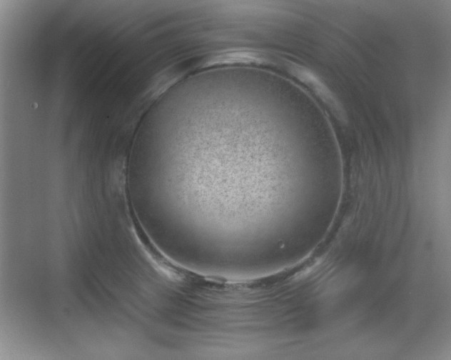 X0000068831233200605081205