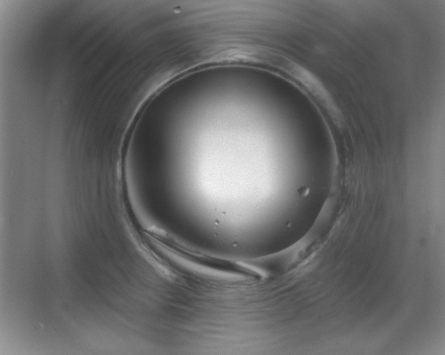 X0000068831234200605081205