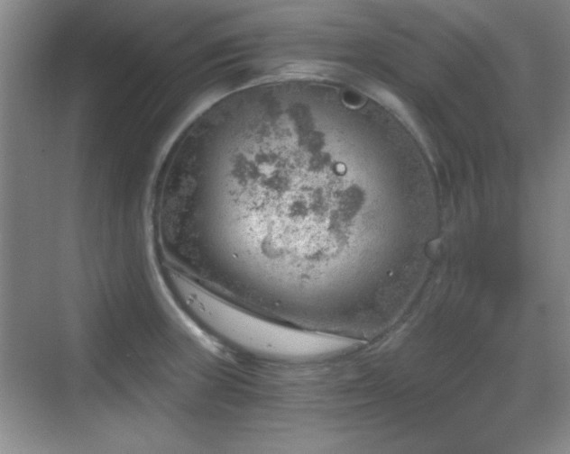 X0000068831235200605081205