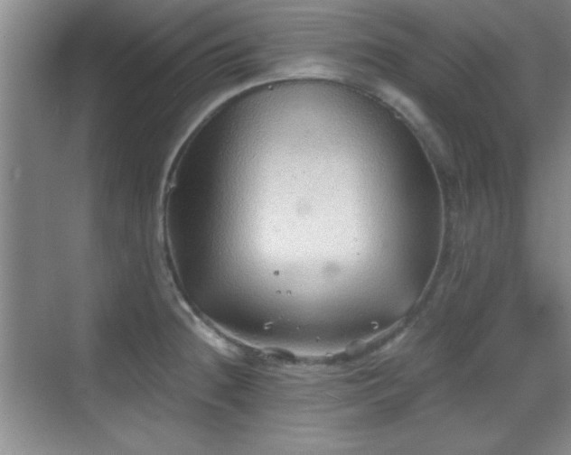 X0000068831236200605081205