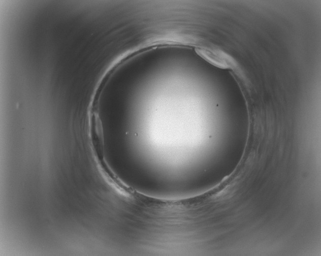 X0000068831238200605081205