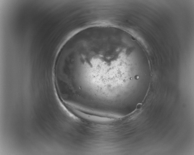 X0000068831239200605081205