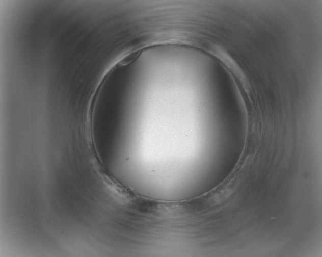 X0000068831242200605081205