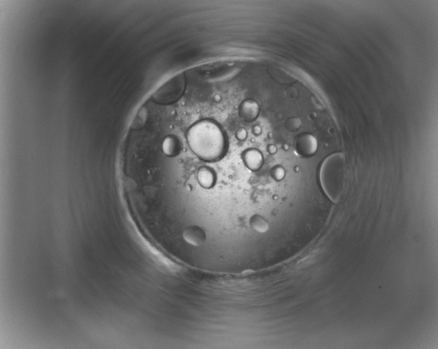 X0000068831243200605081205