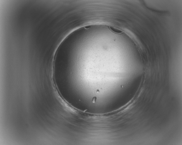 X0000068831244200605081205