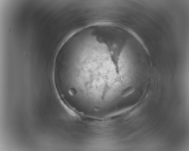 X0000068831245200605081205