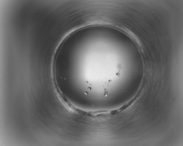 X0000068831246200605081205