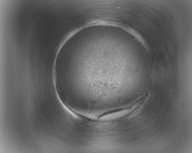 X0000068831247200605081205