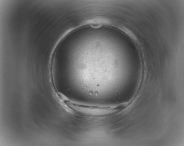 X0000068831248200605081205