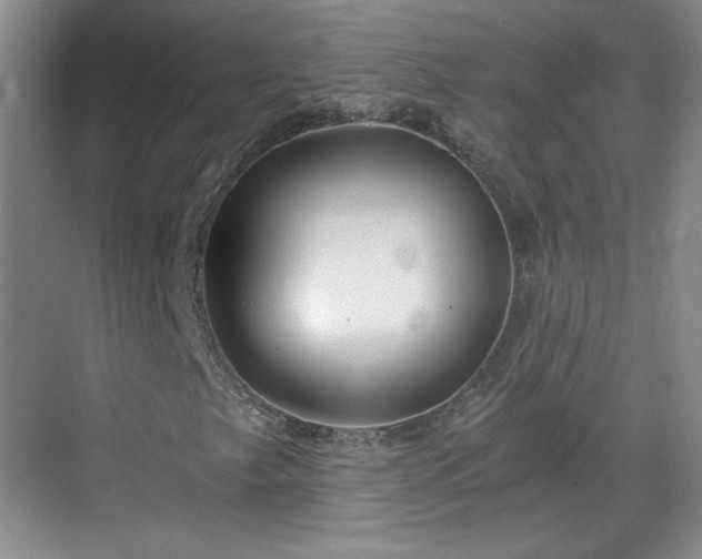 X0000068831249200605081204