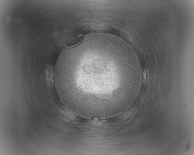 X0000068831251200605081204