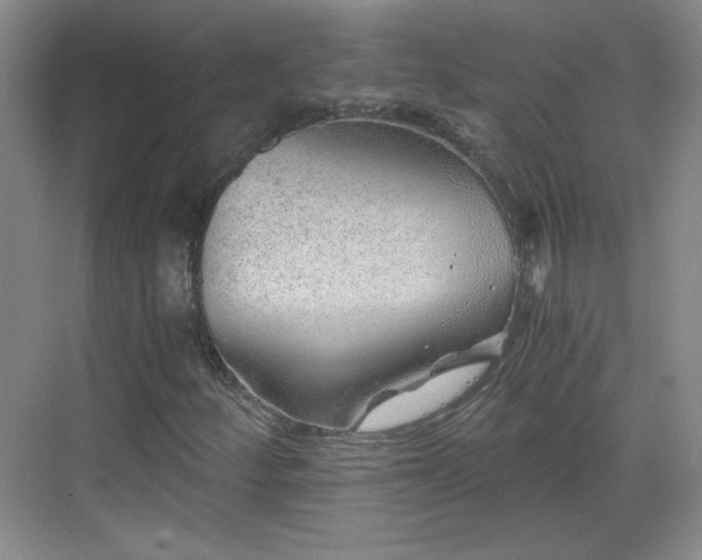 X0000068831252200605081204