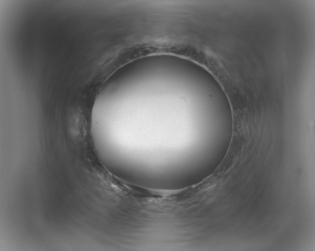 X0000068831253200605081204