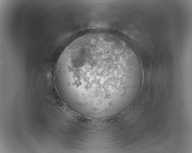 X0000068831254200605081204