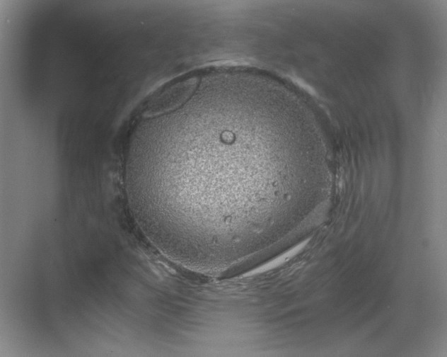 X0000068831255200605081204