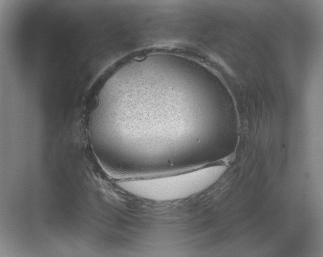 X0000068831256200605081204