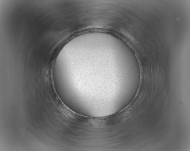 X0000068831258200605081204