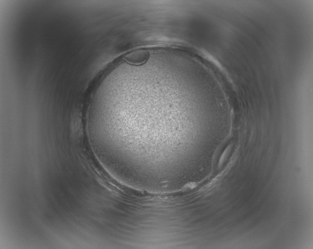 X0000068831259200605081204