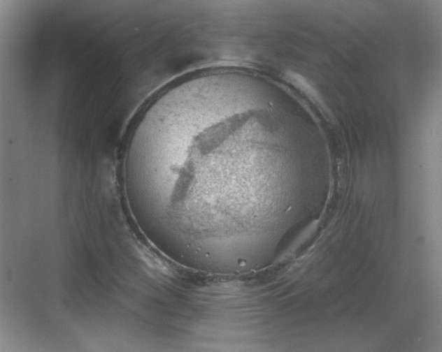 X0000068831260200605081204