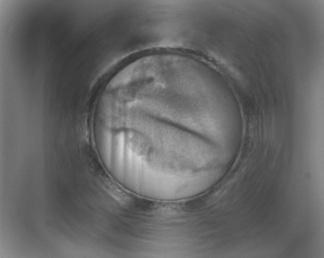 X0000068831262200605081204