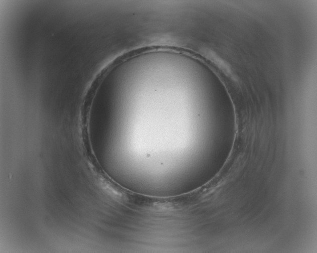 X0000068831264200605081204