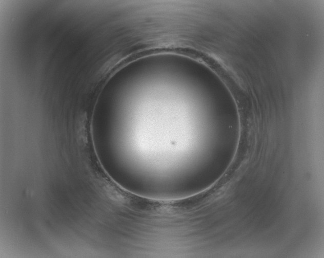 X0000068831265200605081204