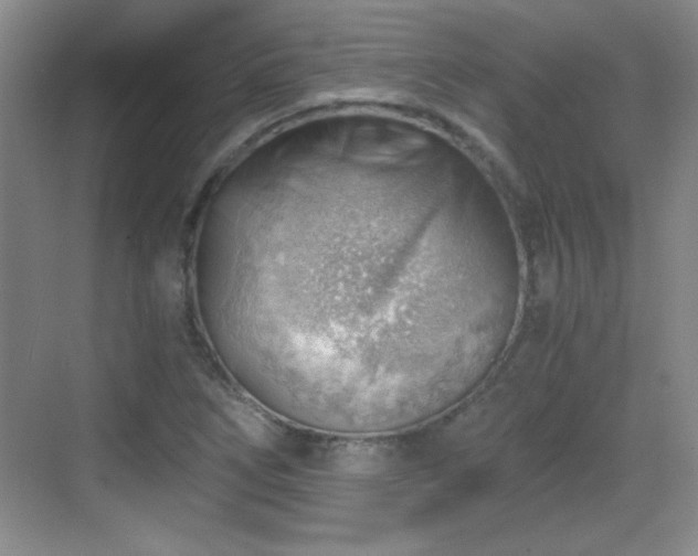 X0000068831266200605081204