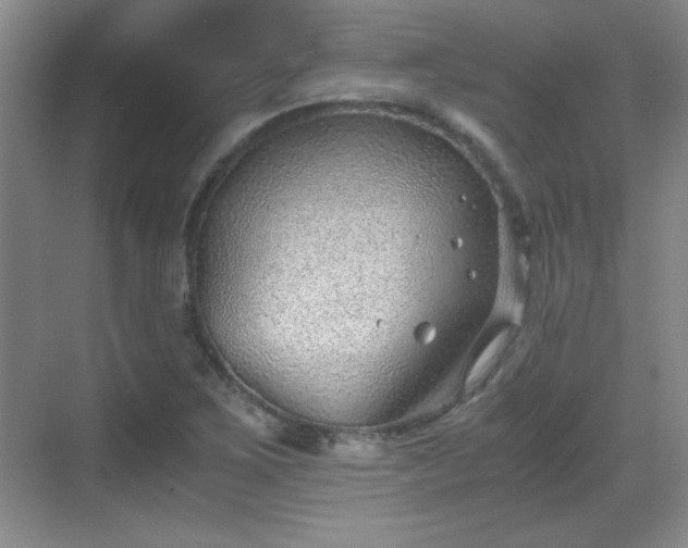 X0000068831267200605081204