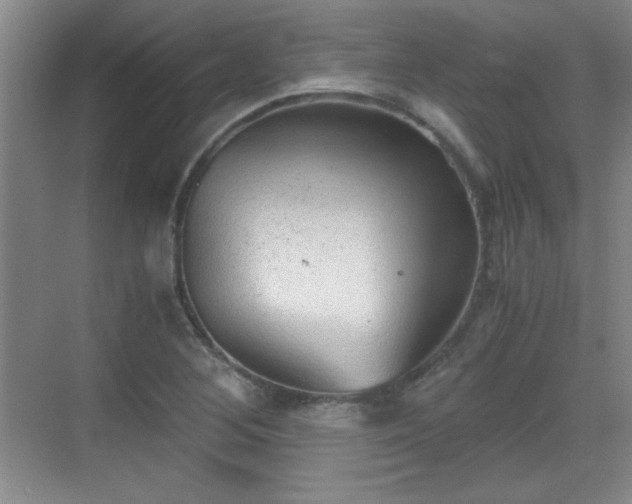 X0000068831268200605081204