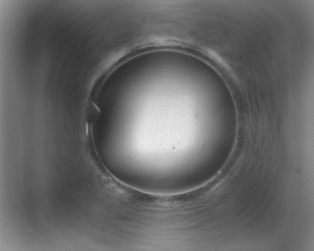 X0000068831269200605081204