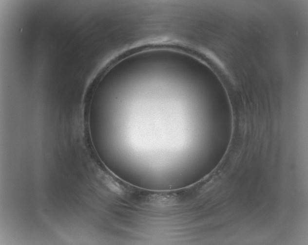 X0000068831270200605081204