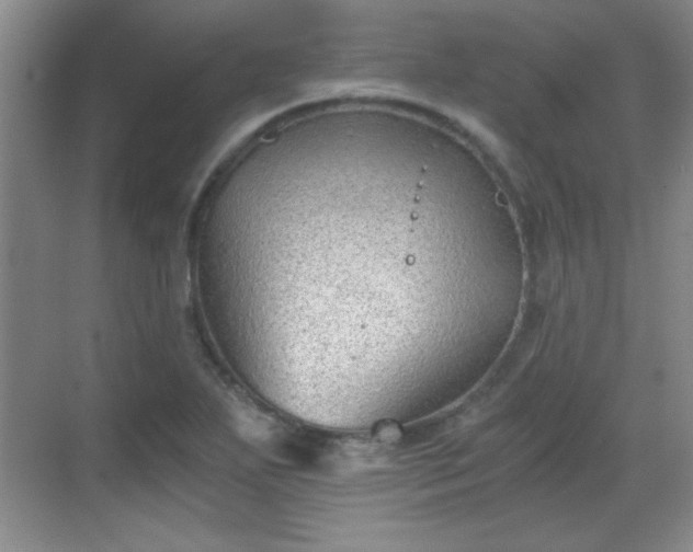 X0000068831271200605081204