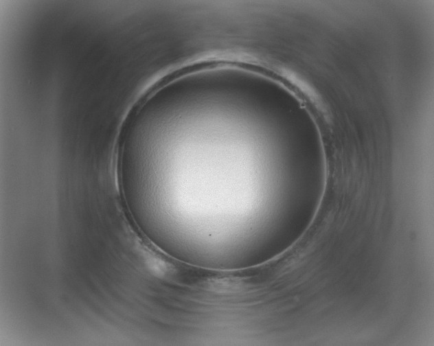 X0000068831272200605081204