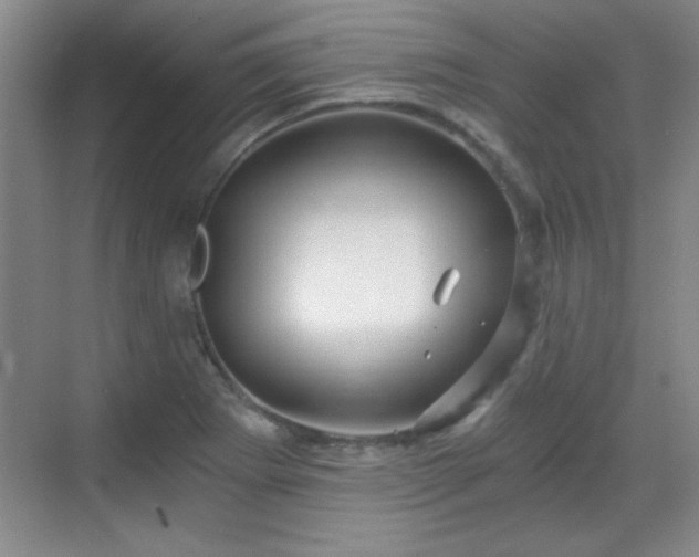 X0000068831273200605081204