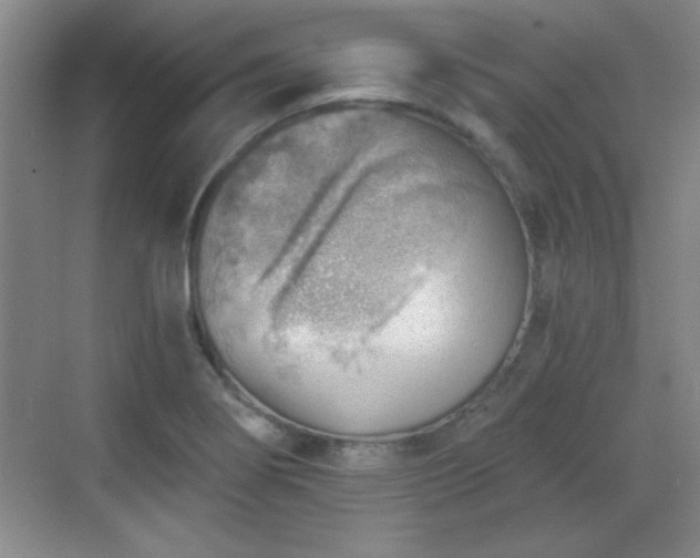 X0000068831274200605081204