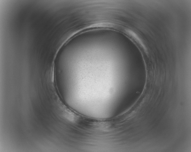 X0000068831276200605081204