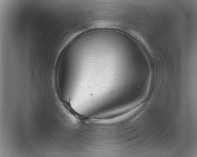 X0000068831277200605081204