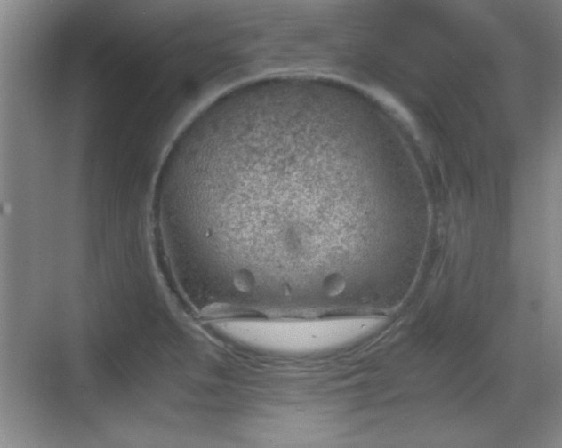 X0000068831279200605081204