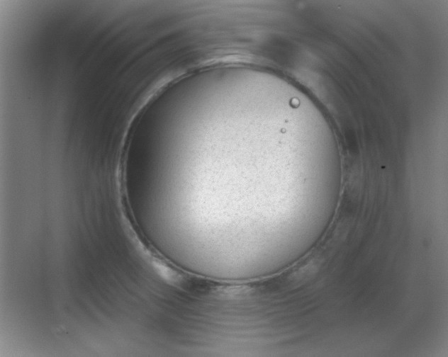 X0000068831282200605081204