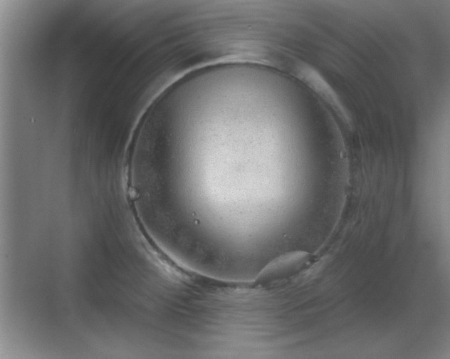 X0000068831284200605081204