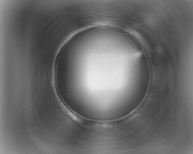 X0000068831286200605081204