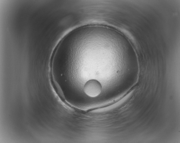 X0000068831287200605081204