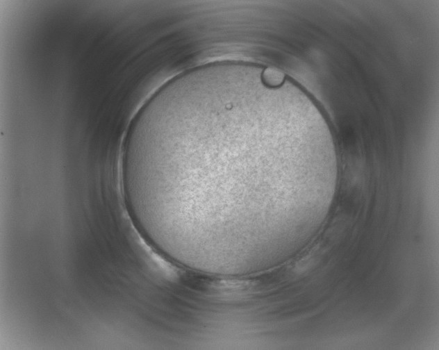 X0000068831290200605081203