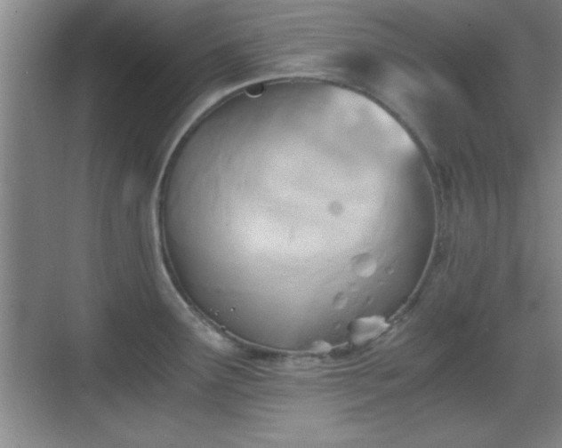 X0000068831291200605081203