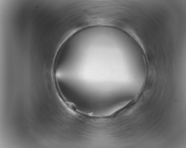 X0000068831293200605081203