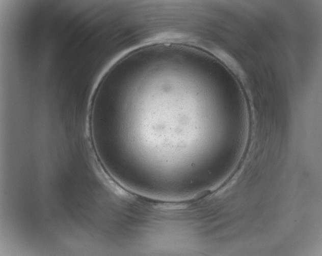 X0000068831296200605081203