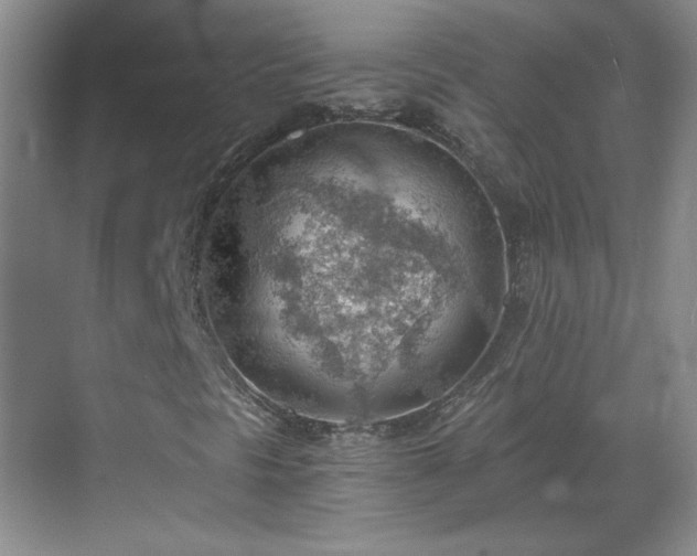 X0000068831297200605081203